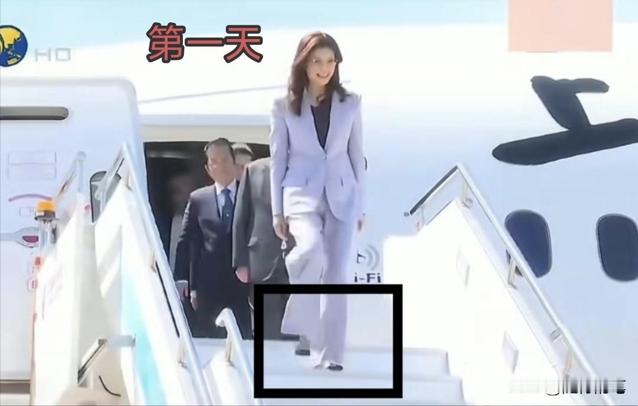 郑丽文访问大陆，服装穿着很讲究，三天三套西装。第一天刚抵达时是穿着一套淡蓝色