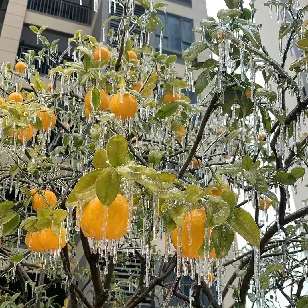 大学生的寒假有多爽？家有大一神兽，在大学之前的早晚自习，上的够够的，早上起的