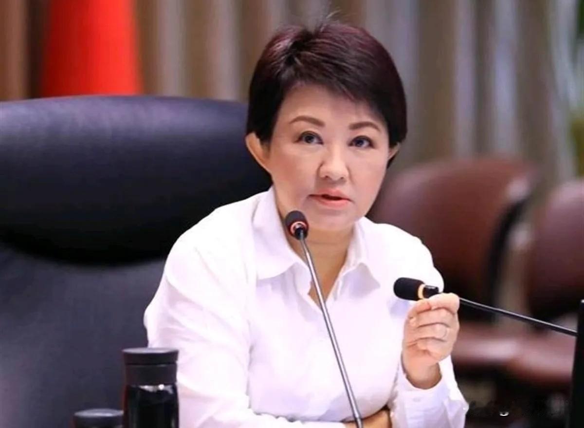 6月15日，根据岛内媒体报道，台中市长卢秀燕结束10天的“访欧”行程，下午搭机返