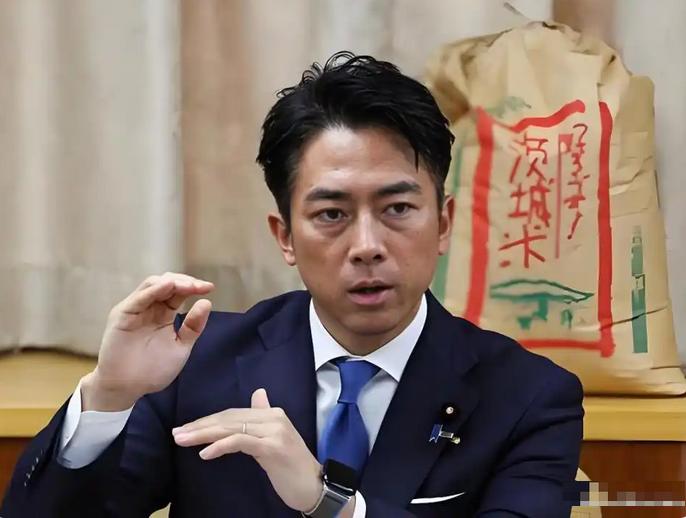 日本彻底破防后，防长放了句狠的，他想让中国知道：越南早就是日本这边的人了最近