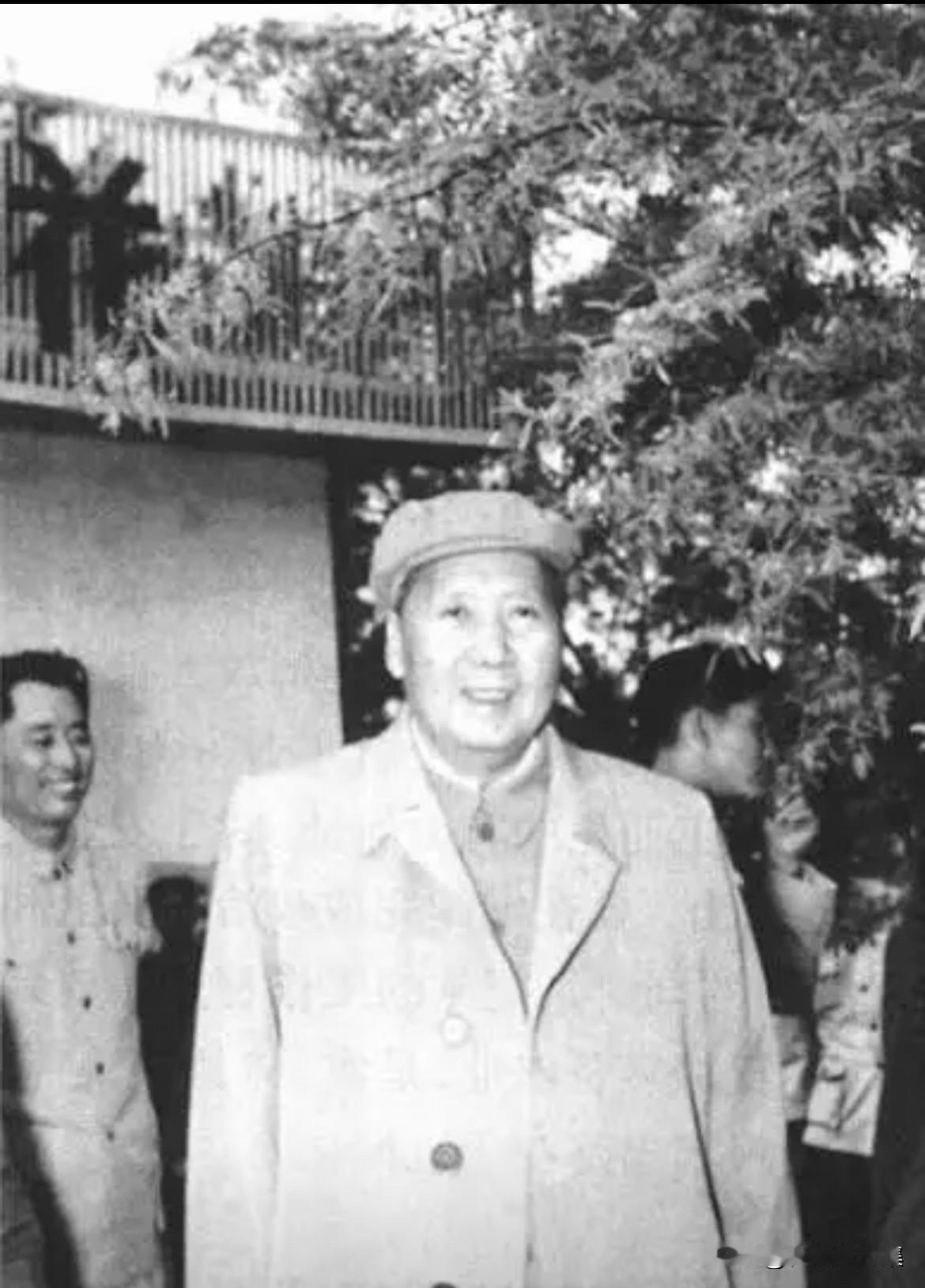 1960年5月4日下午，毛泽东主席在济南珍珠泉大院接见干部后，散步时被浓郁的花香
