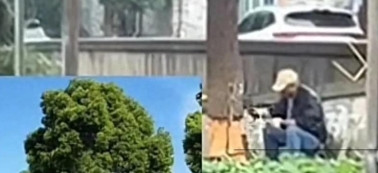 上海浦东上南山水苑一期发生荒唐事：80岁老人带头，20多位平均70多岁的