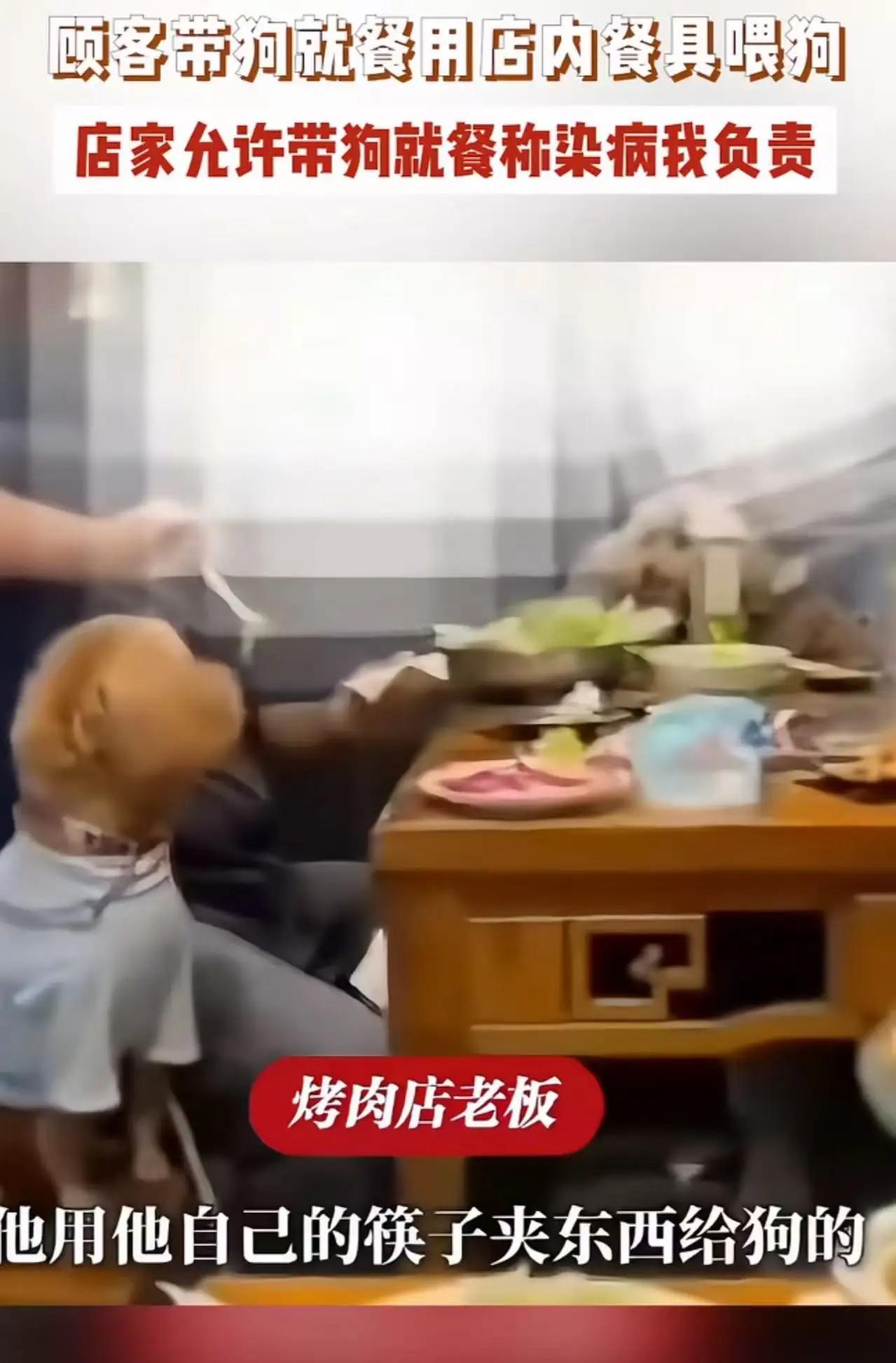 安徽一烤肉店：人用筷子喂狗，老板还理直气壮？底线呢！安徽一家烤肉店