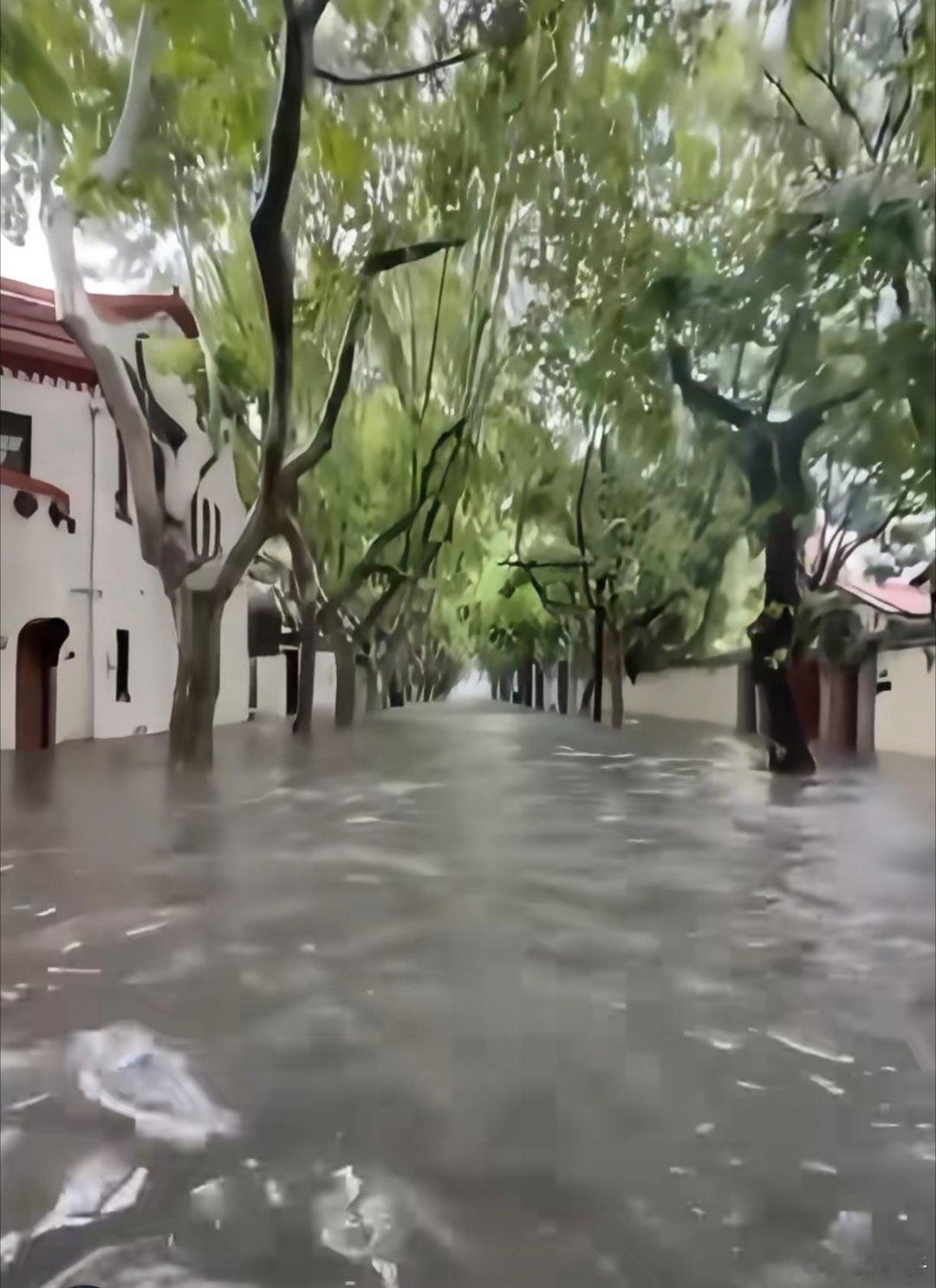 一觉醒来，这武康路变武康河啦？注意安全，还有重要东西别放一楼或地下室！