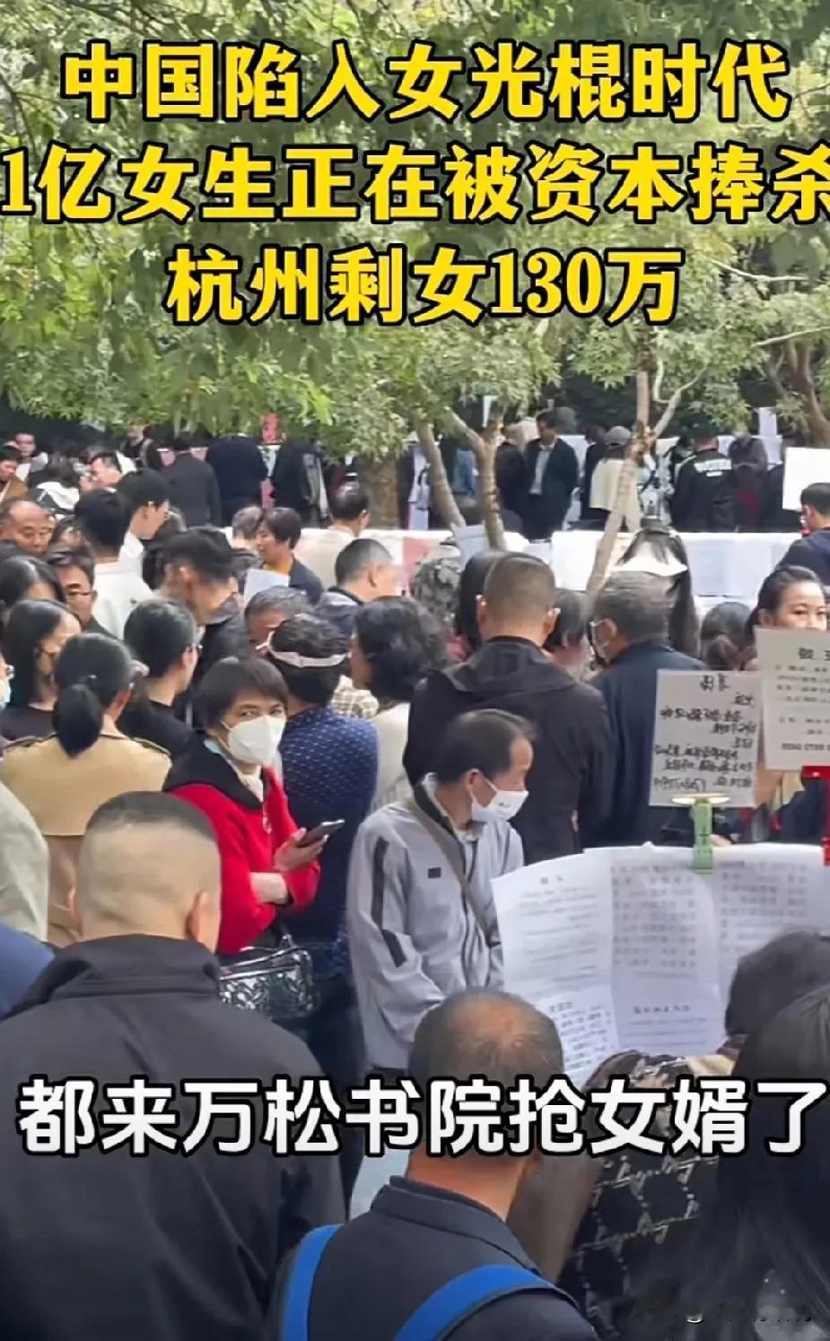 五一的第一天，杭州热闹非凡，居然都在万松书院抢女婿。浙江经济杠杠的，这样催生