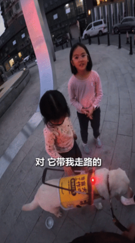 这个小孩姐火到人民日报了！小女孩遇见盲人带着导盲犬，脱口而出的一句童言，却让盲人