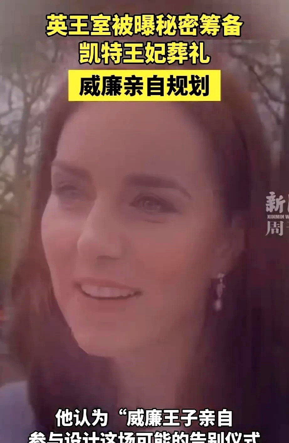 凯特王妃的苦，你根本想象不到---你说王室生活就是穿金戴