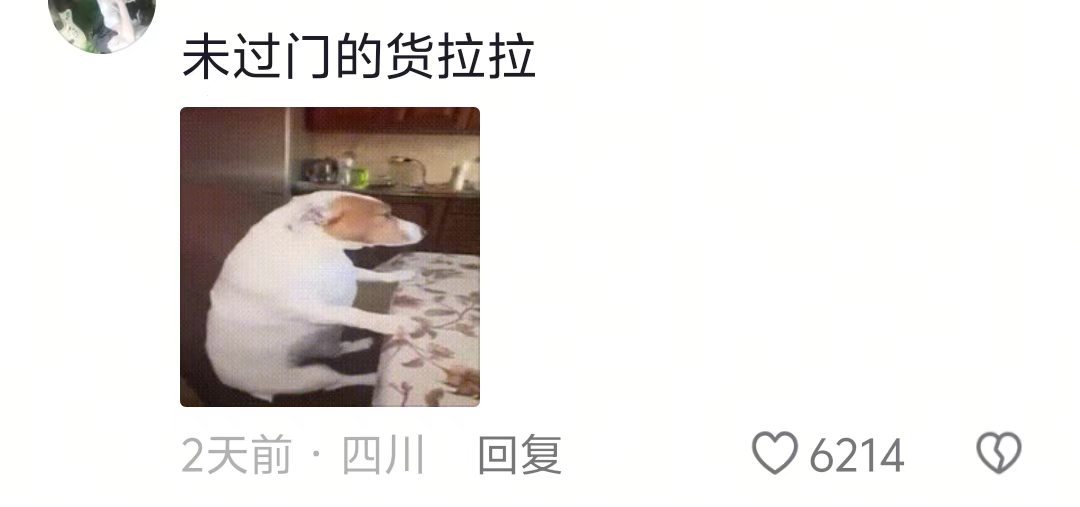 《未过门的货拉拉》姐夫还没进门就先给上下马威了​​​