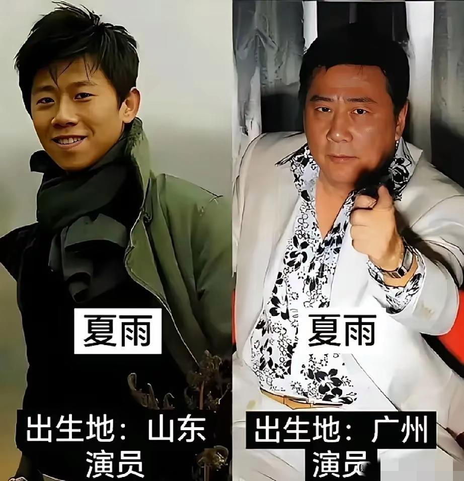 9组同名明星，更出名的总是那个颜值较高的，不论是夏雨、宋佳还是陈红、王劲松也不论