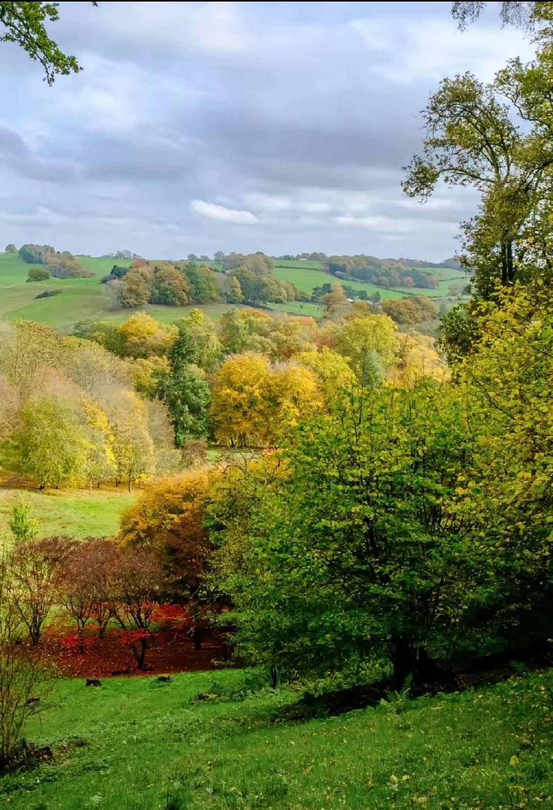 生前是牛马，死后当肥料。殡葬新规定：深埋，不留坟头，不立碑。也好，赤条条来去