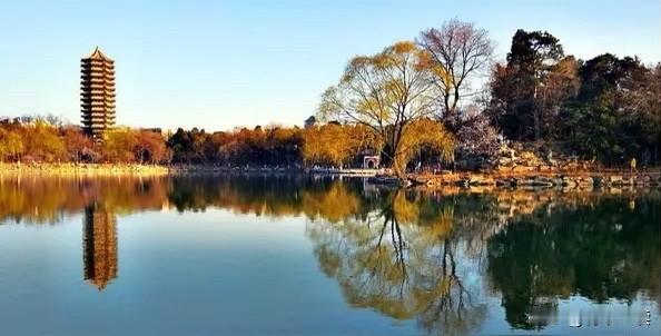 北大这次恐怕是真坐不住了，一个赵宏教授，硬是凭一己之力把大家的火气都拱起来了。有