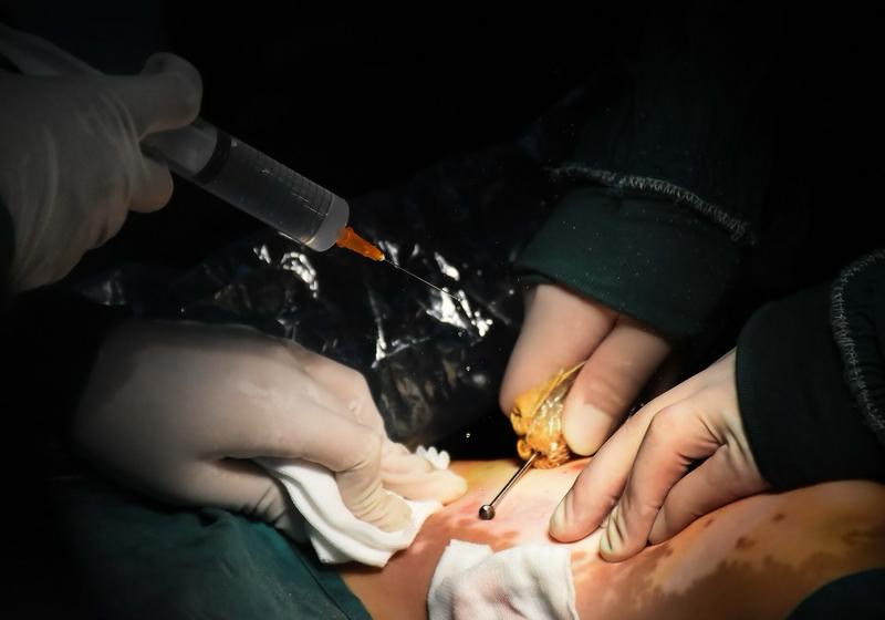 一个人衰老得快，原因还挺多。从生活习惯看，长期熬夜、酗酒吸烟、过度疲劳，都会让身