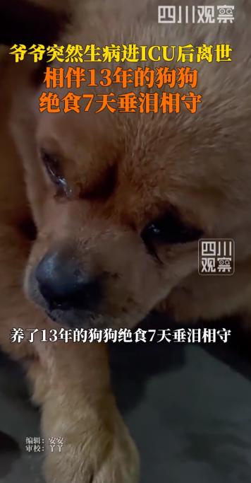 🐰四川雅安，一女子爷爷突发疾病去世，全家都沉浸在悲伤之中，谁也没有注意到，