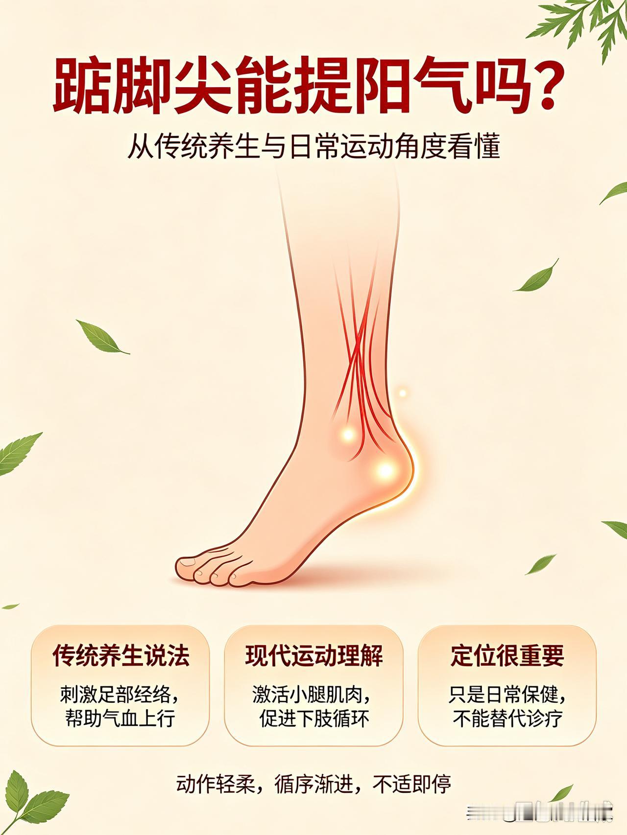 踮脚尖真的能“提阳气”？男女练习好处各有侧重，简单小动作科普！踮脚尖是流传