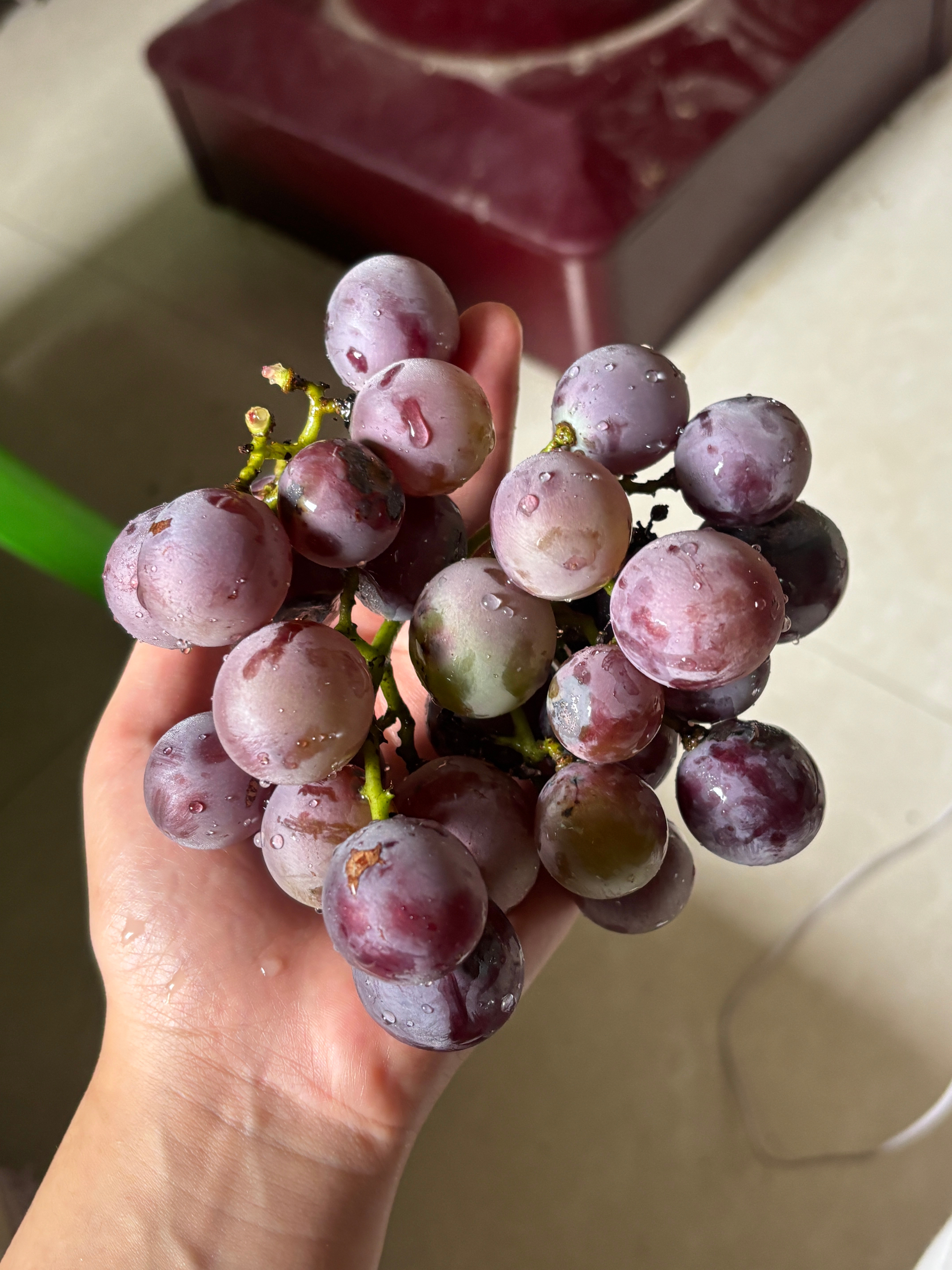 我奶今年种的葡萄真的长得有大又红又甜