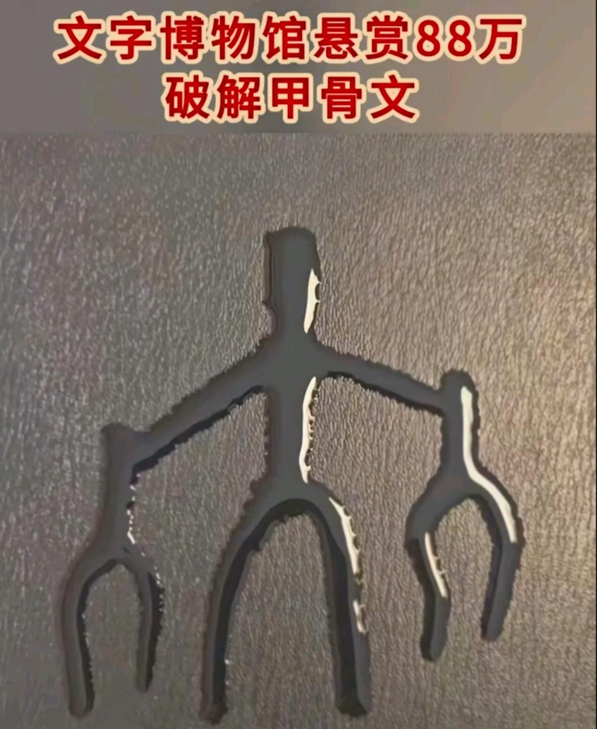 谁有博物馆电话