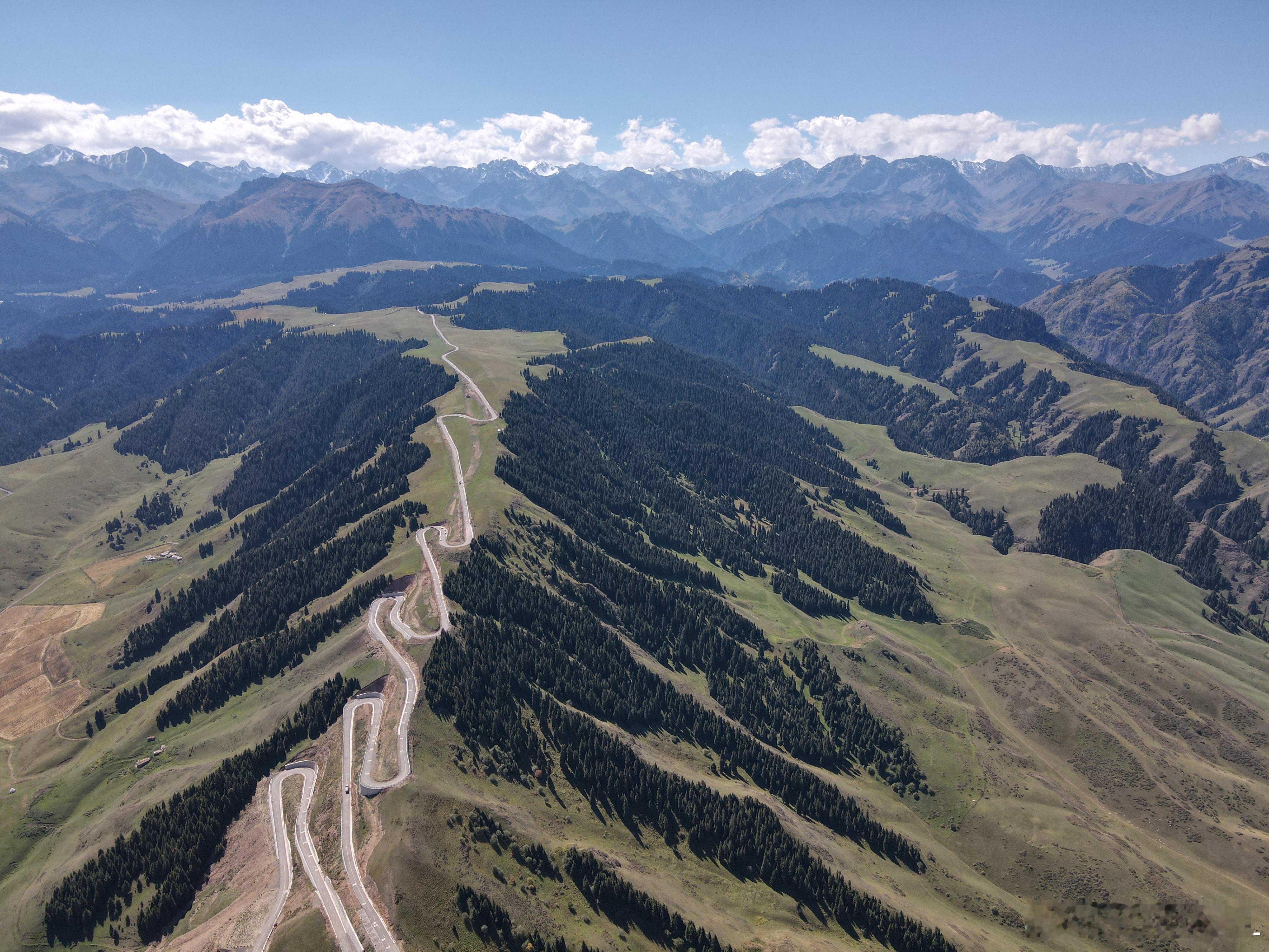 2025年中国销量破百万的车企，平均售价排名：1、长城汽车，17.3万。2、比亚