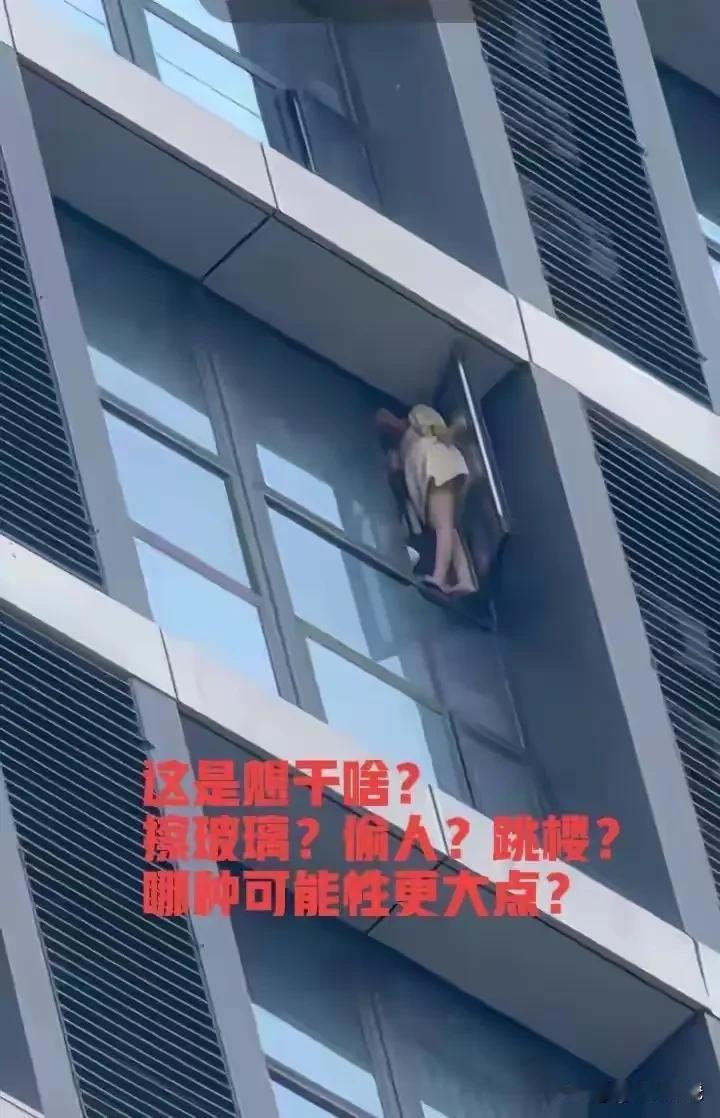 网友晒出窗户上的一幕，不得不说，惊呆了啊！[捂脸哭]