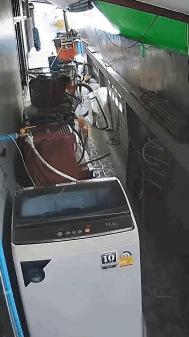 这只猫咪有点东西。