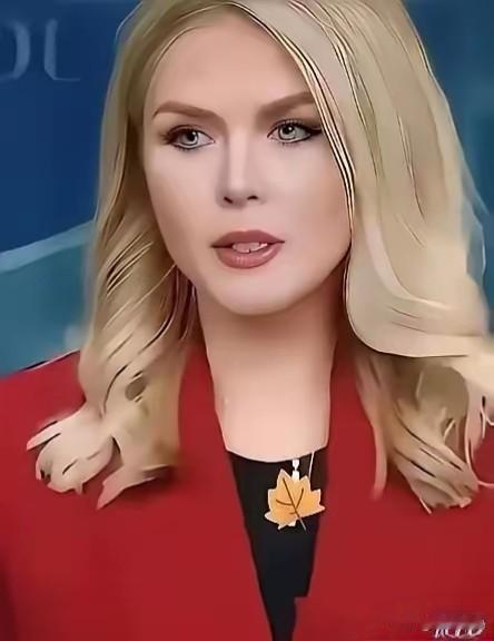 白宫证实了4月20日，白宫突然改口证实副总统万斯要去巴基斯坦谈地区争端问题，可