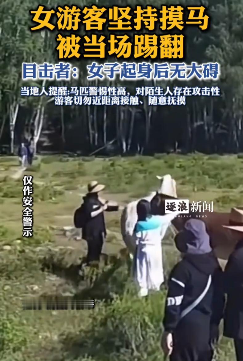 事教人一次就会！新疆阿勒泰，一位女游客看到草原上有匹被绑腿的马，她不但没害怕，还