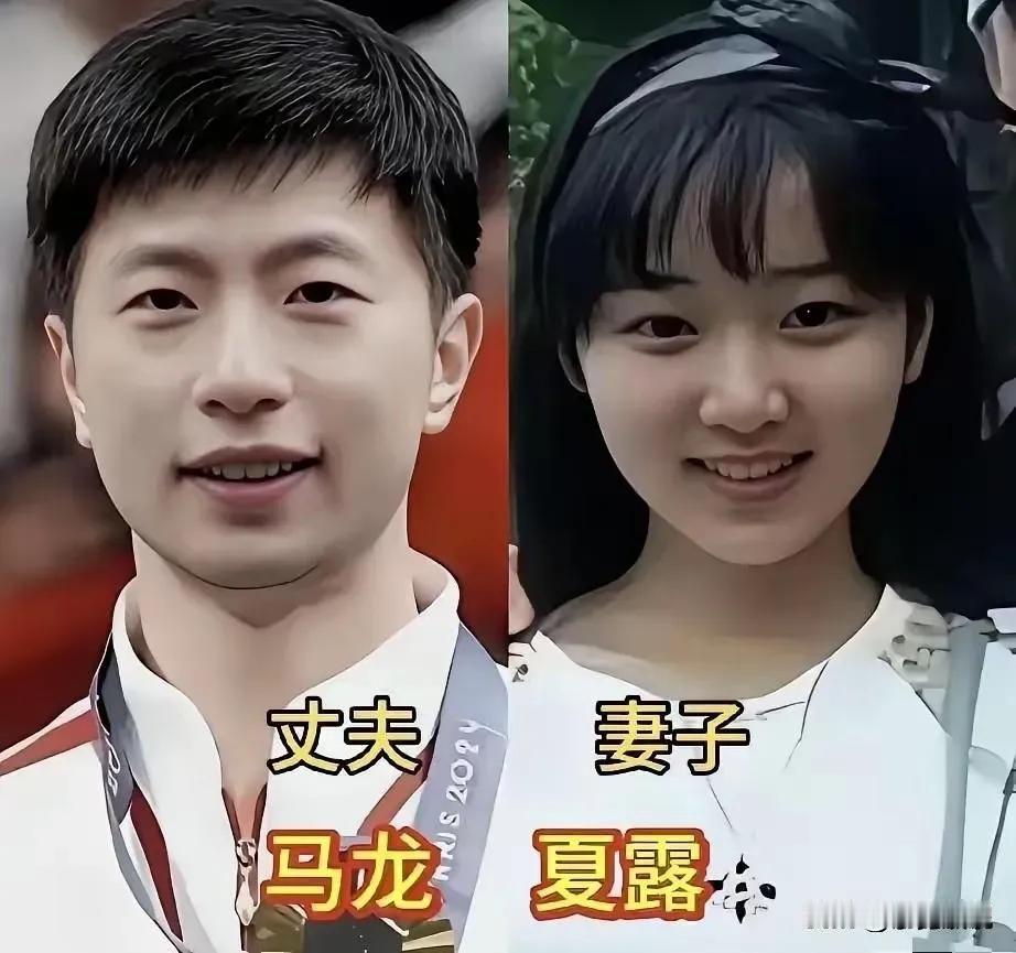 马龙的妻子很优秀。刘国梁的妻子很优秀。王皓的妻子很优秀。张怡宁的丈夫很优秀