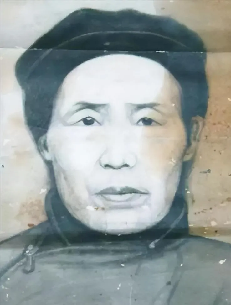 二十世纪，开国大将王树声被敌人追杀，一大娘将他藏到自家院子，突然，敌人高喊：“抓