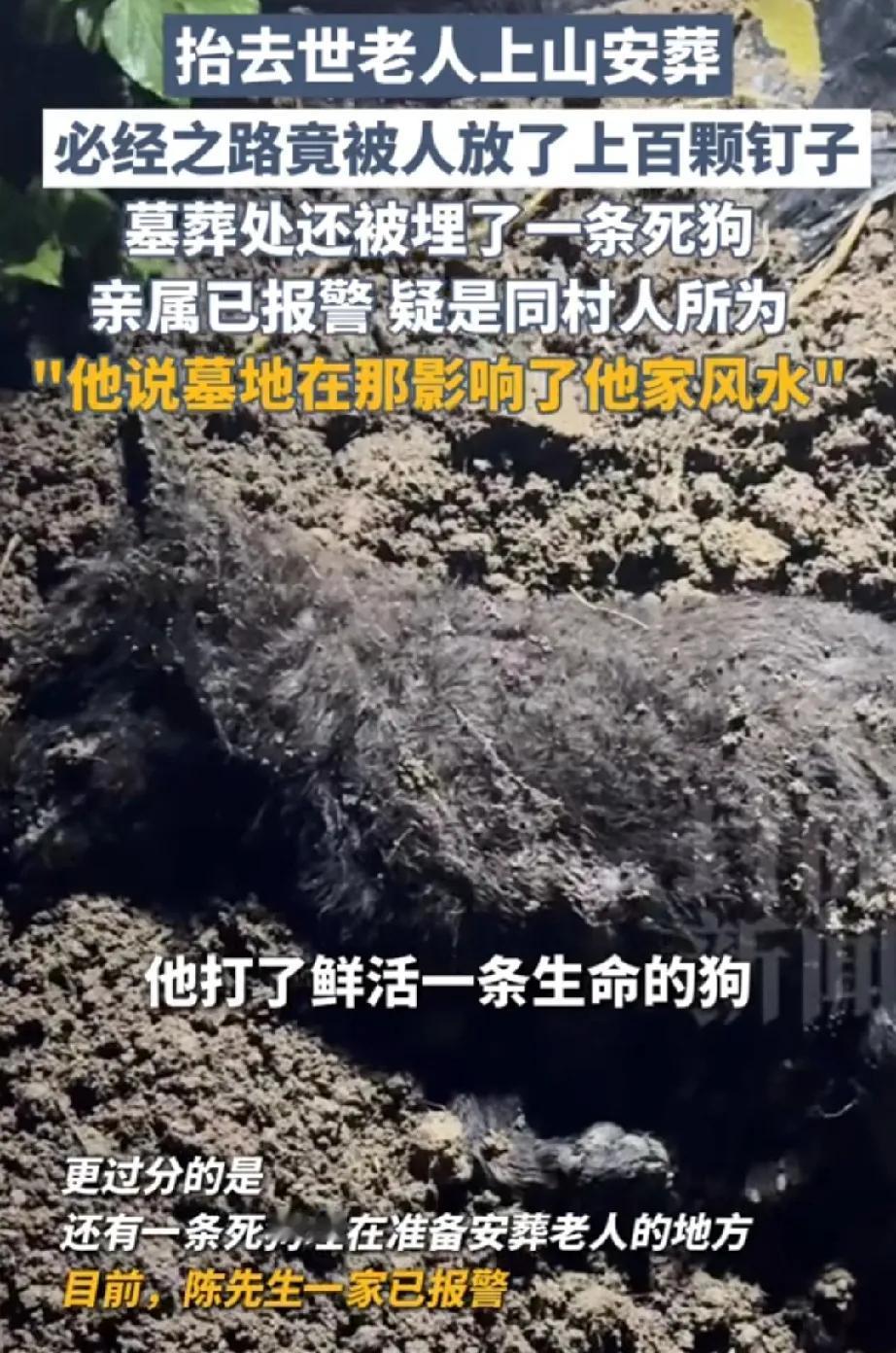 重庆，老人去世，家人准备将遗体安葬在自家地里，谁料，安葬必经路上，被人放了100