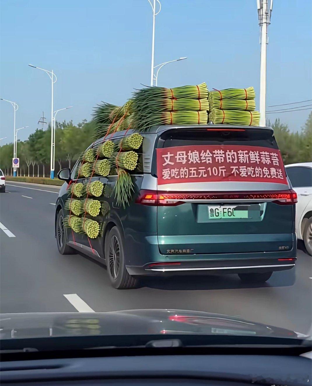 这得走绿通吧？