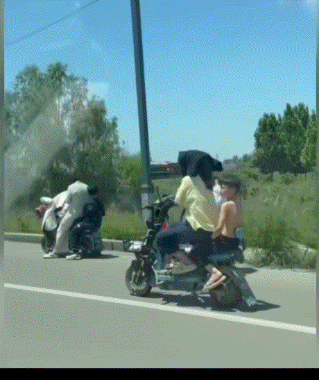 笑不活了！山东，一妈妈骑电动车载着孩子行驶在马路上，但因太阳实在太大，妈妈为了让