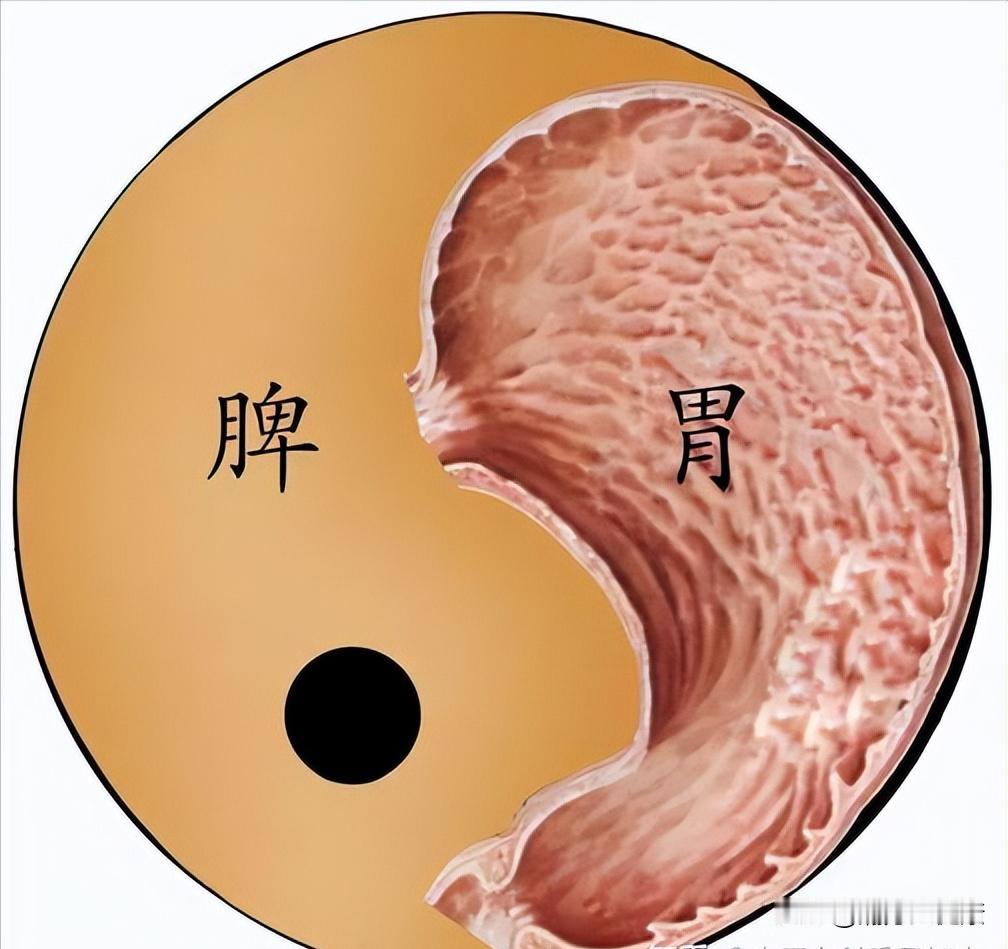 经常会听到人说到