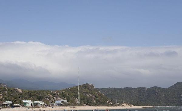 越南核电站，日本玩不转了？日本与越南的核电站项目彻底黄了。12月8日