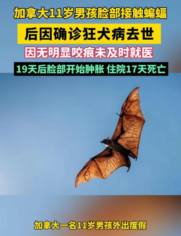 万万没想到！7月2日报道，加拿大一名11岁男孩在度假小屋睡觉，醒来时发现脸上趴着