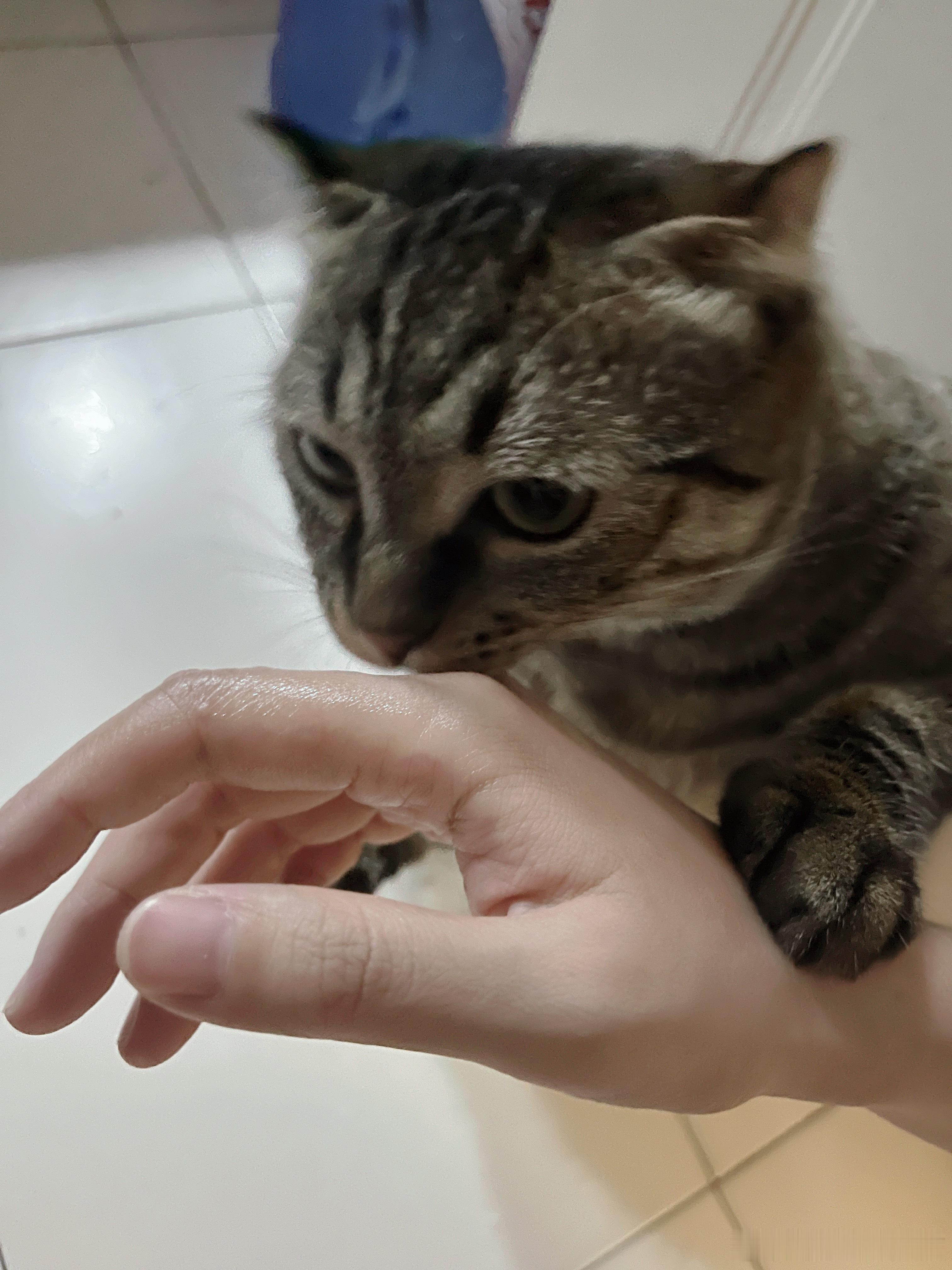 肉肉来给妈妈呼呼了呼呼气妈妈好得快