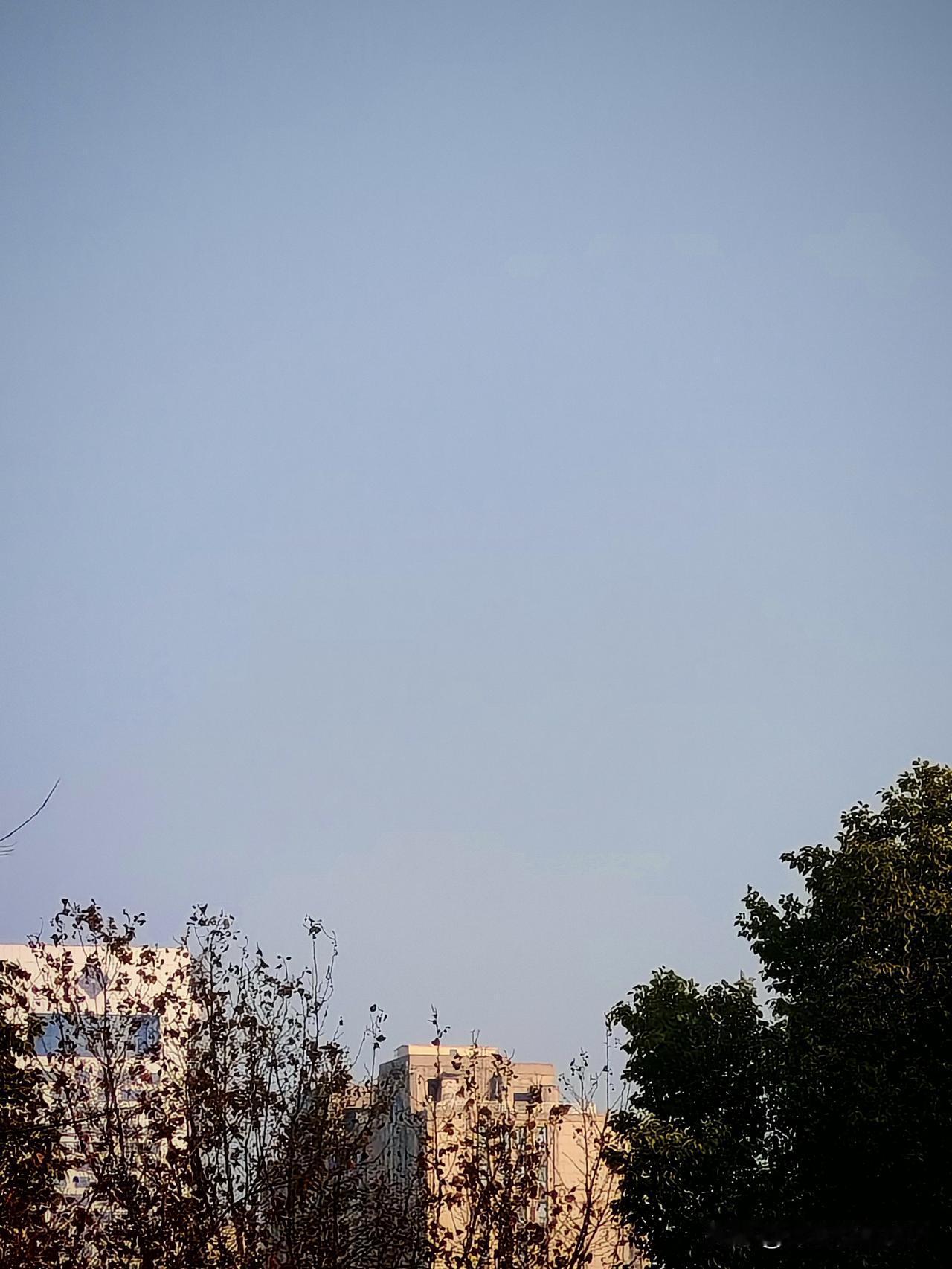 养儿不一定防老，闺蜜养老公，才叫真的赚翻了听身边人总说养儿防老，我现在越来