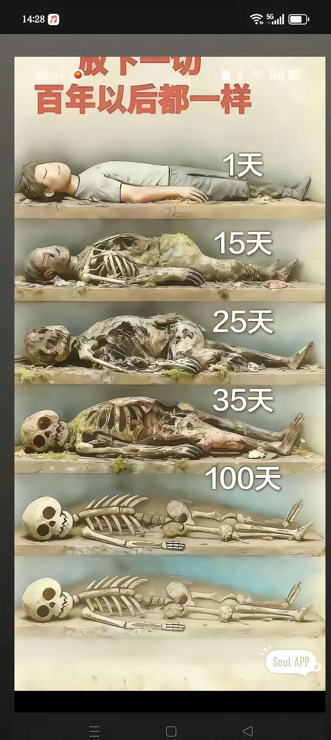 看到这个图片，突然就释怀了，什么名利双收，飞黄腾达？人呀，上了年纪，啥都不重要