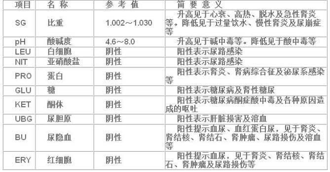 化验单专业术语解释, 医学人必看!