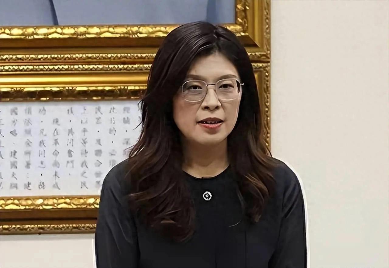 *郑丽文这句话，像一颗深水炸弹扔进了茶水桌。她说国民党追求和平，绝不放弃自我防卫