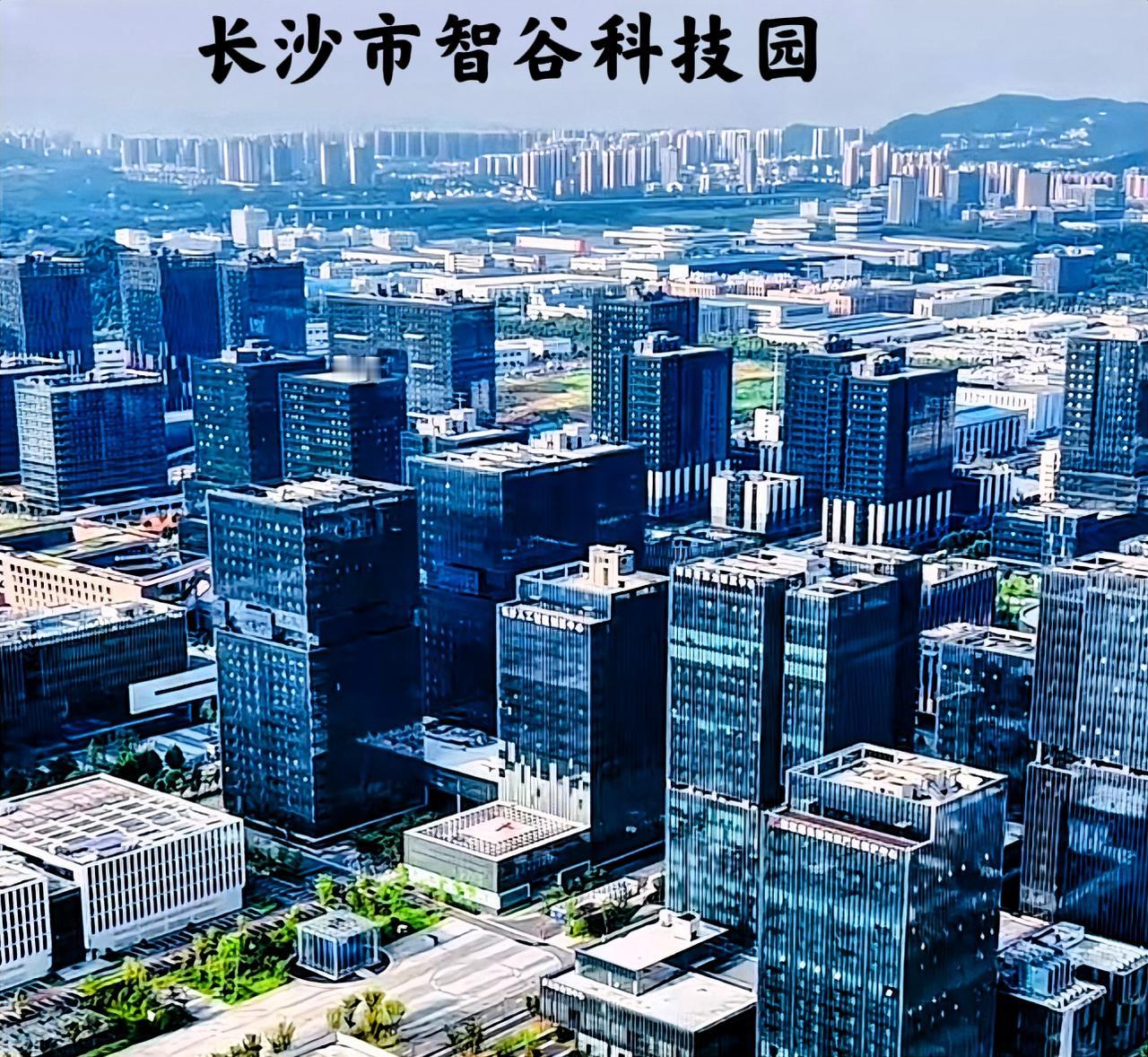 我觉得，长沙最好的科技园是长沙智谷。那一栋栋的写字楼拔地而起，不过稍微遗憾的是，
