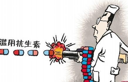 抗生素的最佳辅助