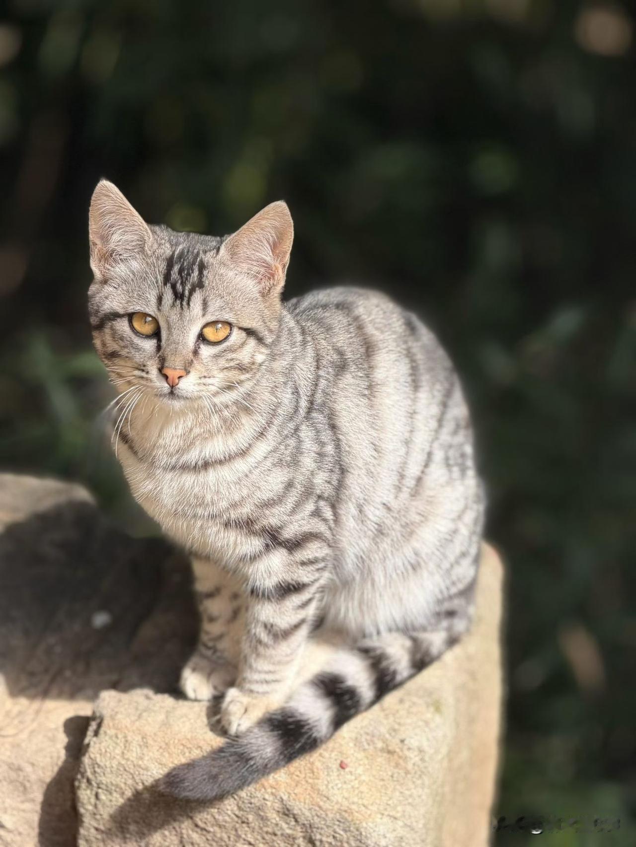 普通人的持续积累，才是破局的良方：1、只要你足够穷，别人对你的态度就无比真实。