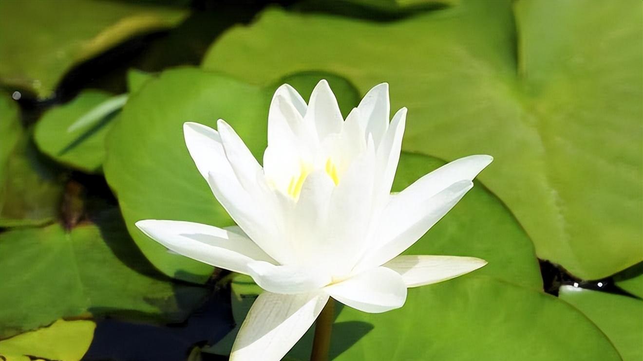 不管恋人还是夫妻,能走到最后的人,几乎都避开了3种状况的发生