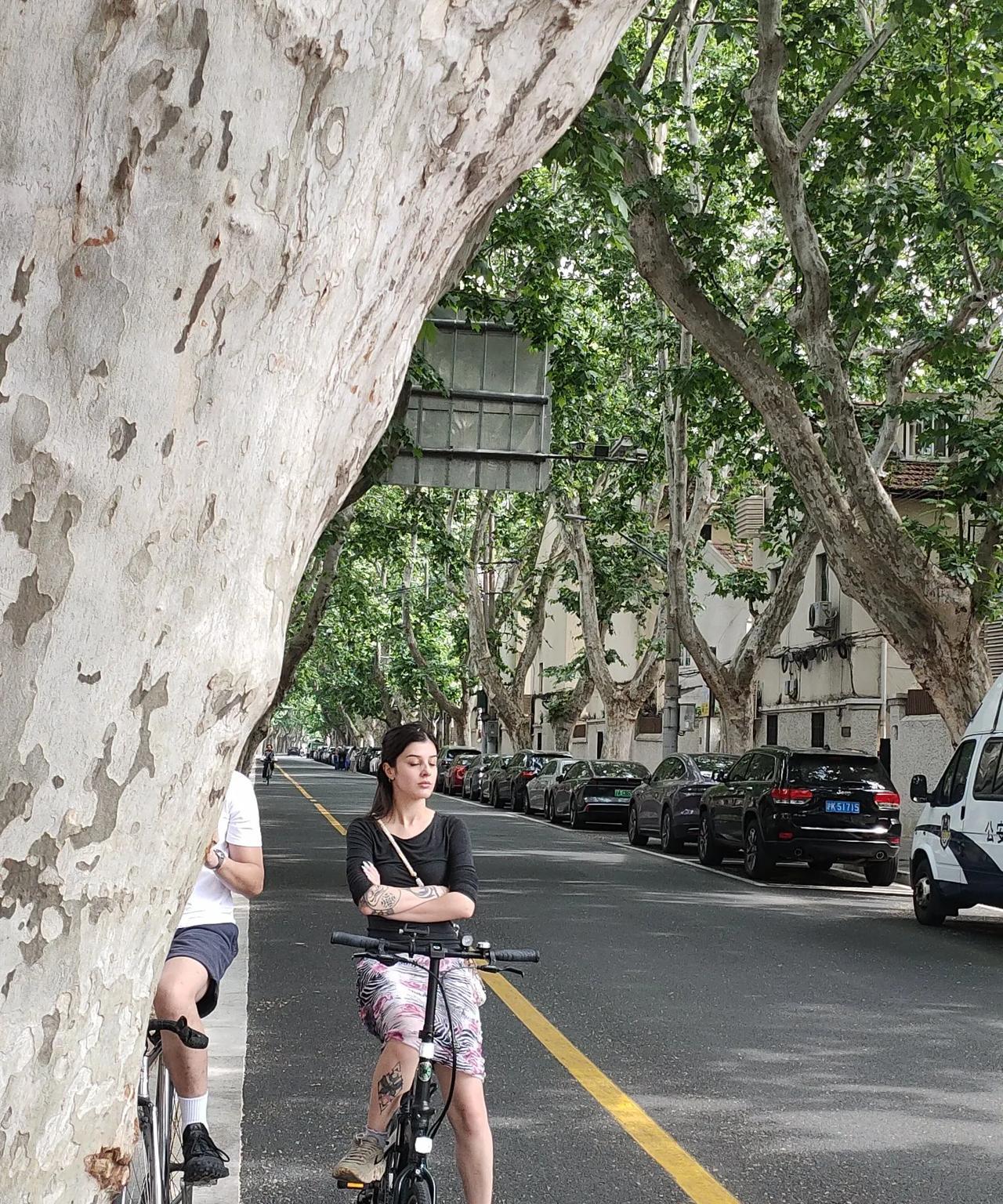 南京房价还能坚持多久？中海观江樾，在南京的一个楼盘，剩余200套房子，售价由3