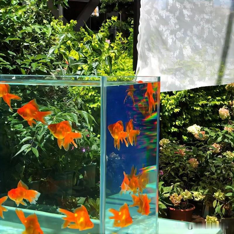 十二星座最容易爱上什么样的人？】白羊座：直来直去的，不会让白羊很累金牛座：