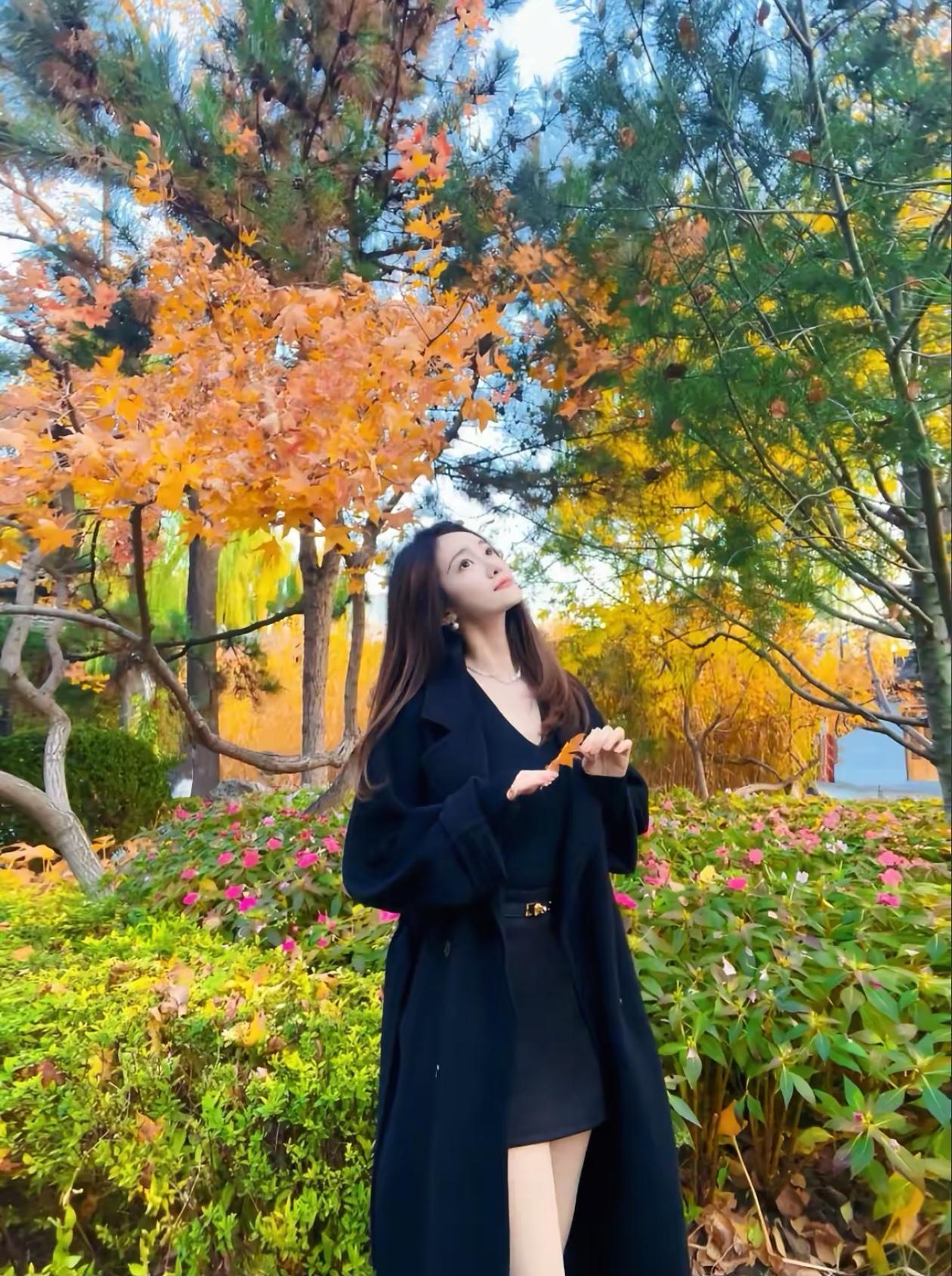 秋日漫步，落叶纷飞，感受大自然的美好。