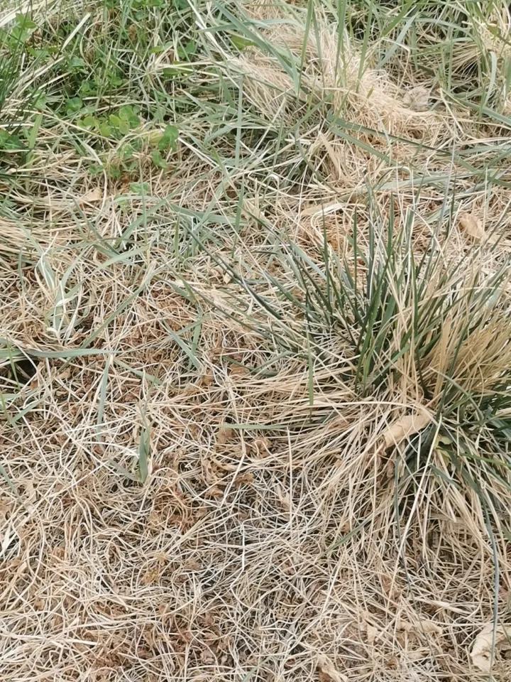 突然就迷惘了！为了家为了孩子一直委曲求全，结果换来的更是变本加厉。此时此刻，