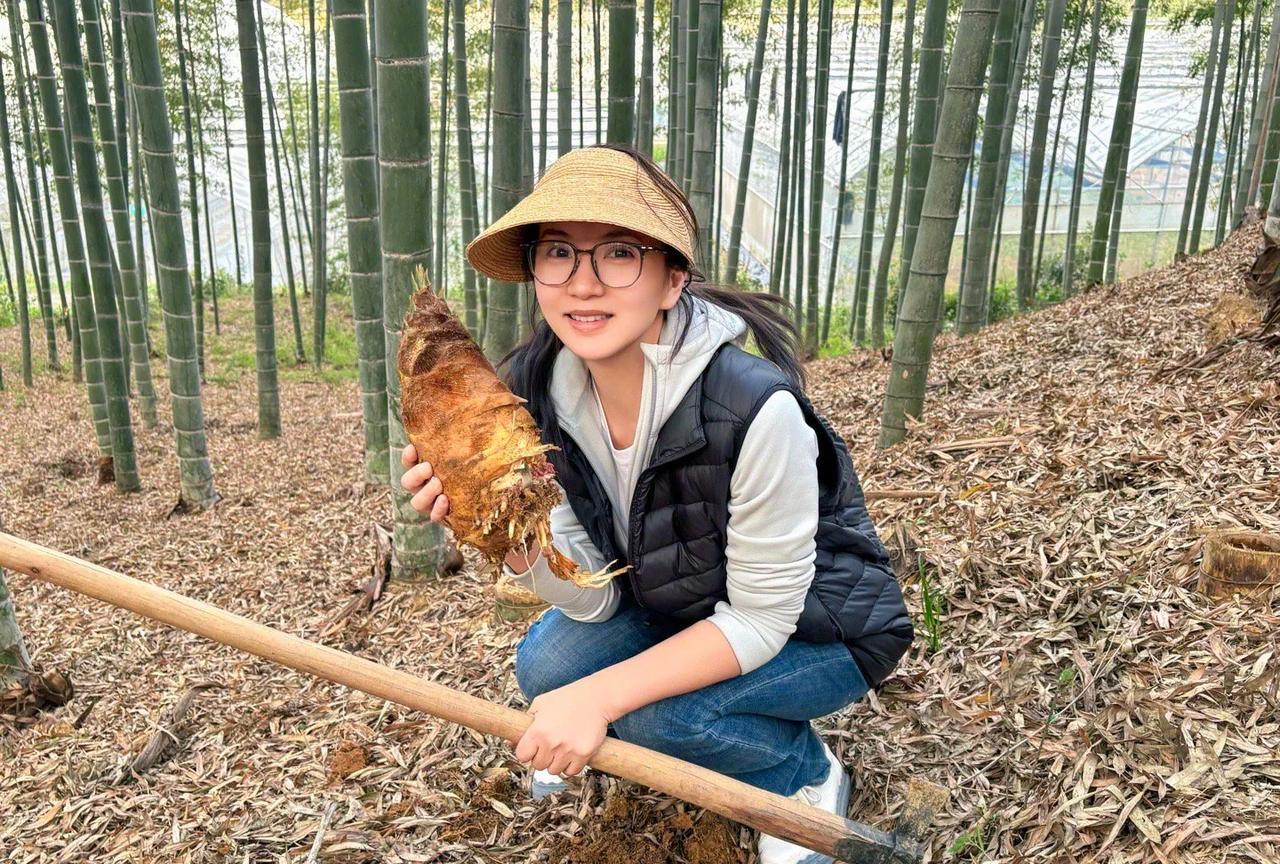 还是女明星会过日子，五一不去人山人海的地方，跑到山里摘竹笋，一个人都没有，安安静