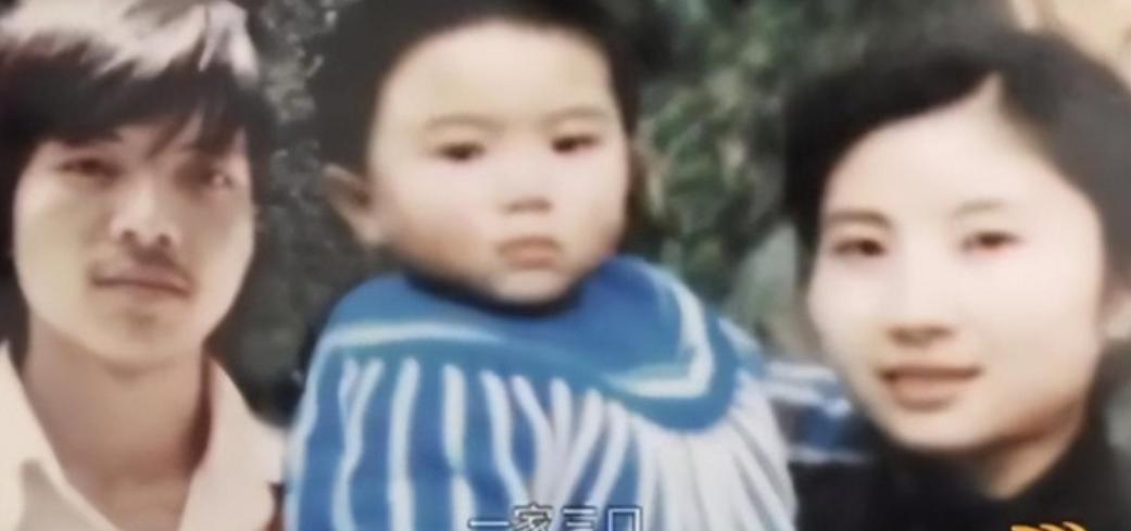 1991年，一名3岁男童竟在外公眼皮子底下离奇失踪，父亲因此抑郁自杀，母亲坚持独