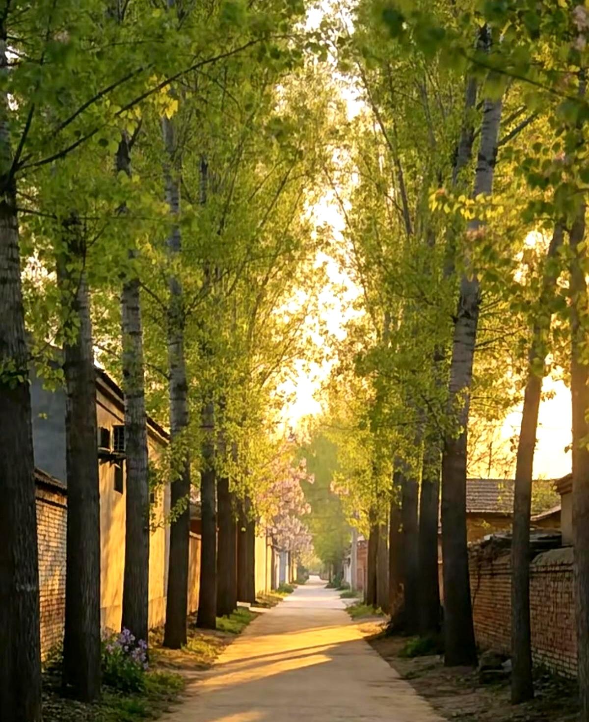 说句实话，孩子能平平安安读完高中，就已经算挺幸运的了。你知道吗？有调查说，十