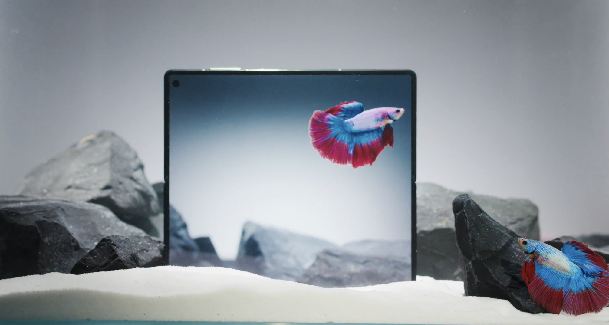 vivoXFold5这个边框控制已经和Fold7完全不是一个层次了，国